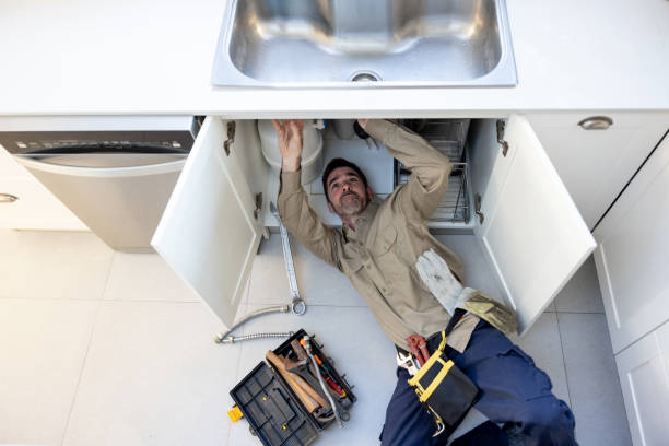 Best Toilet Repair Services  in Rosemont, IL
