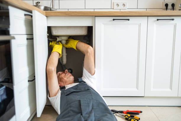 Best Residential Plumbing Services  in Rosemont, IL