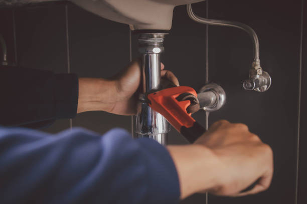 Best Local Plumber Services  in Rosemont, IL
